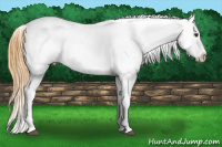 Horse Color:Buckskin Roan Dun Blanket 