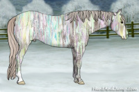 Horse Color:Silver Black Ice