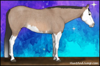 Horse Color:Bay Roan Dun Splash
