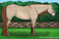 Horse Color:Liver Red Dun Frame 