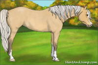 Horse Color:Silver Buckskin Roan Sabino 