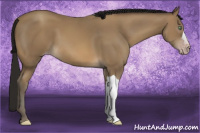 Horse Color:Gray Amber Cream Champagne