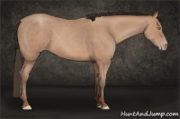 Horse Color:Amber Champagne