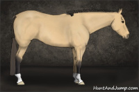 Horse Color:Buckskin Roan 