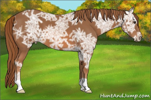Horse Color: Chestnut Ice 