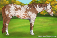 Horse Color:Chestnut Ice 