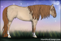 Horse Color:Red Dun Sabino 