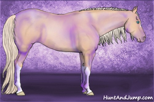 Horse Color: Chocolate Palomino Pearl 