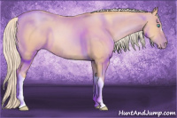 Horse Color:Chocolate Palomino Pearl