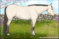 Horse Color:Buckskin Roan Dun Tobiano