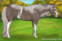Horse Color:White Spotted Silver Black Sabino 