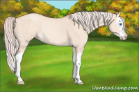 Horse Color:Silver Amber Champagne Roan Dun Splash Rabicano
