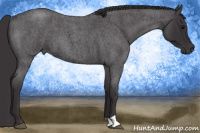 Horse Color:Smoky Blue Roan 
