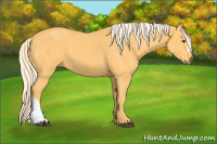 Horse Color:Palomino
