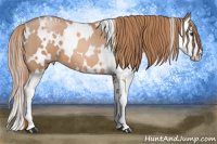 Horse Color:White Spotted Liver Chestnut Pearl Splash 
