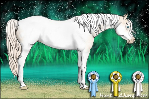 Horse Color: Chocolate Palomino Pearl Tobiano Frame 