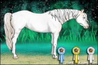 Horse Color:Chocolate Palomino Pearl Tobiano Frame 