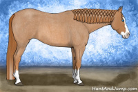 Horse Color:Red Roan Splash 