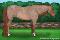 Horse Color:Liver Red Roan 