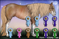 Horse Color:Chestnut Sabino Rabicano 