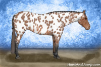 Horse Color:Bay Roan Near Leopard 