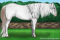 Horse Color:Bay Splash Snowcap 
