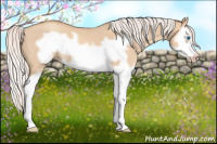 Horse Color:Silver Classic Champagne Roan Dun Splash Frame 
