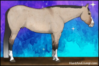 Horse Color:Bay Roan Dun Splash 