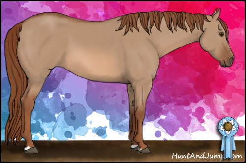 Horse Color: Liver Red Dun 