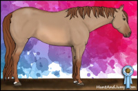 Horse Color:Liver Red Dun 
