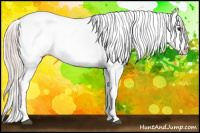 Horse Color:Silver Grullo Appaloosa 