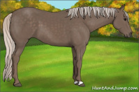 Horse Color:Silver Black 