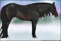 Horse Color:Gray Bay 