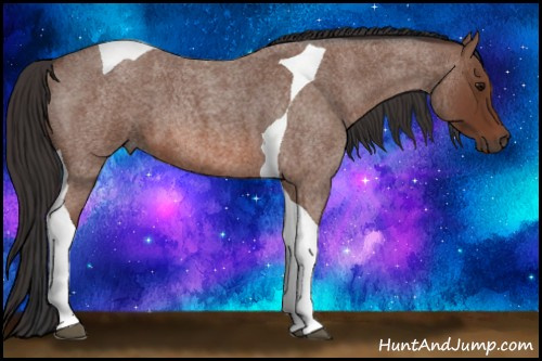 Horse Color: Bay Roan Tobiano 