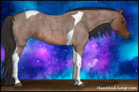 Horse Color:Bay Roan Tobiano