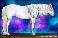 Horse Color:Gold Champagne Tobiano Near Leopard 