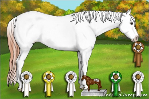 Horse Color: Classic Champagne Near Leopard 