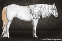 Horse Color:Smoky Black Snowcap 
