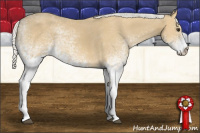 Horse Color:White Spotted Silver Buckskin 
