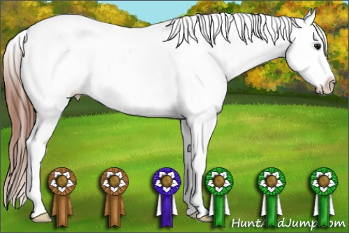 Horse Color: Bay Blanket 
