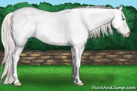 Horse Color:White Spotted Perlino Dun