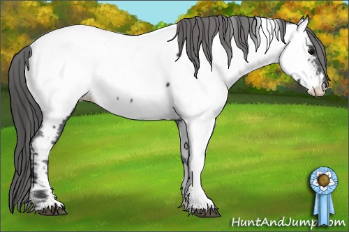 Horse Color: Brown Fewspot 
