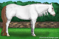 Horse Color:White Spotted Chestnut Frame