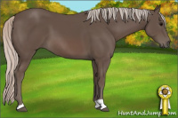 Horse Color:Silver Black 