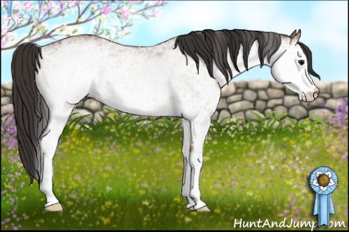 Horse Color: White Spotted Bay 