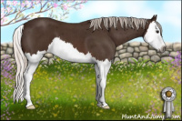 Horse Color:Gray Silver Bay Roan Splash 