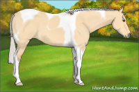 Horse Color:Silver Buckskin Dun Tobiano 