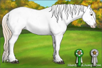Horse Color:Chestnut Tobiano Blanket 