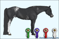 Horse Color:White Spotted Black 