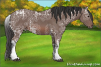 Horse Color:White Spotted Bay Ice 